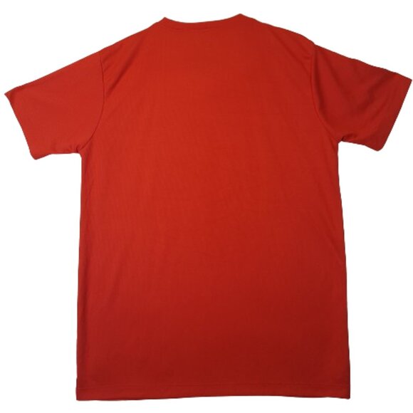 NBA Toronto Raptors Jersey Tee Shirt Large US L National Basketball Association - Picture 14 of 15